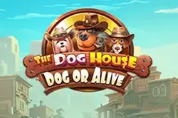 The Dog House Dog or Alive